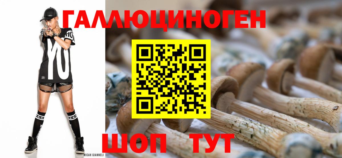 Псилоцибиновые грибы мицелий  Вход с VPN  Ярославль  Галлюциногенные грибы прущие грибы 
