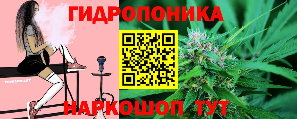 Канабис Amnesia  Бошки Шишки сатива  Канабис гибрид  Вход с VPN  Ярославль 